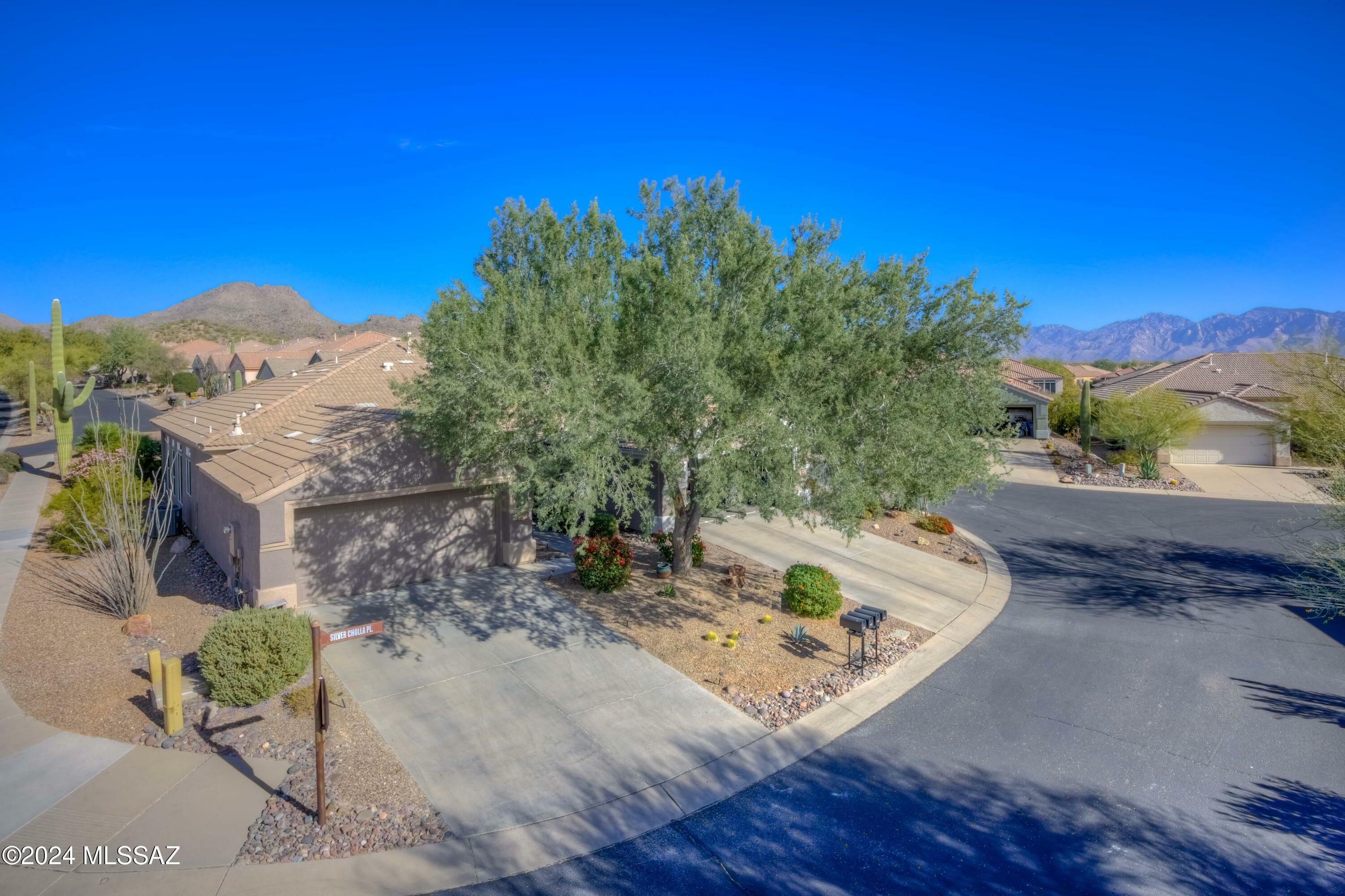 Property Photo:  13238 N Silver Cholla Place  AZ 85658 