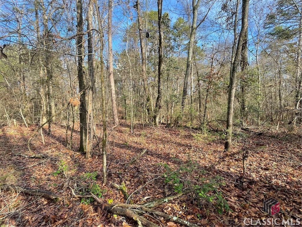 Property Photo:  Lot 16 Anderson Highway  GA 30635 