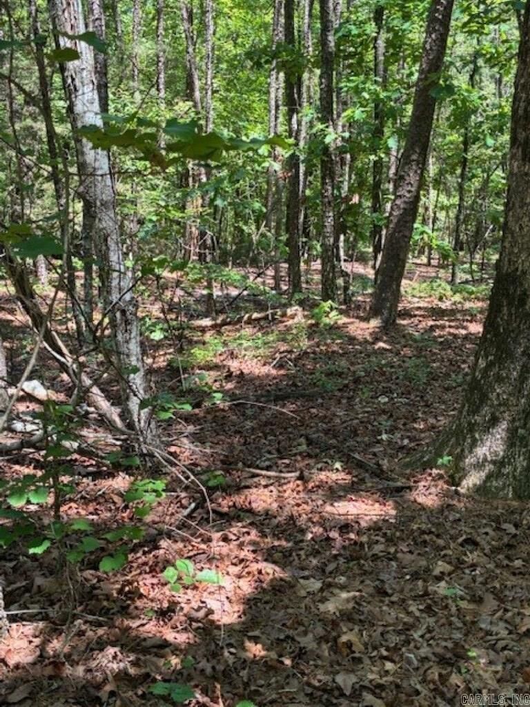 Property Photo:  Castano (Lot 12) Lane  AR 71909 