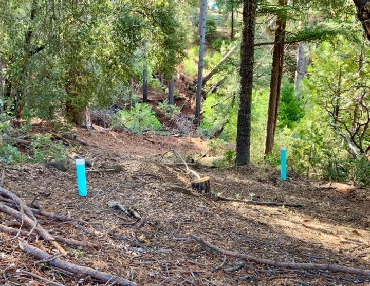 Property Photo: 50963 Chu Ranch Road CA 93644