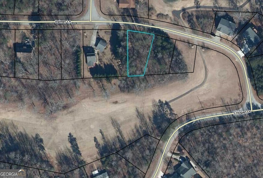 Property Photo:  Lot 806 Palmer Lane  SC 29693 