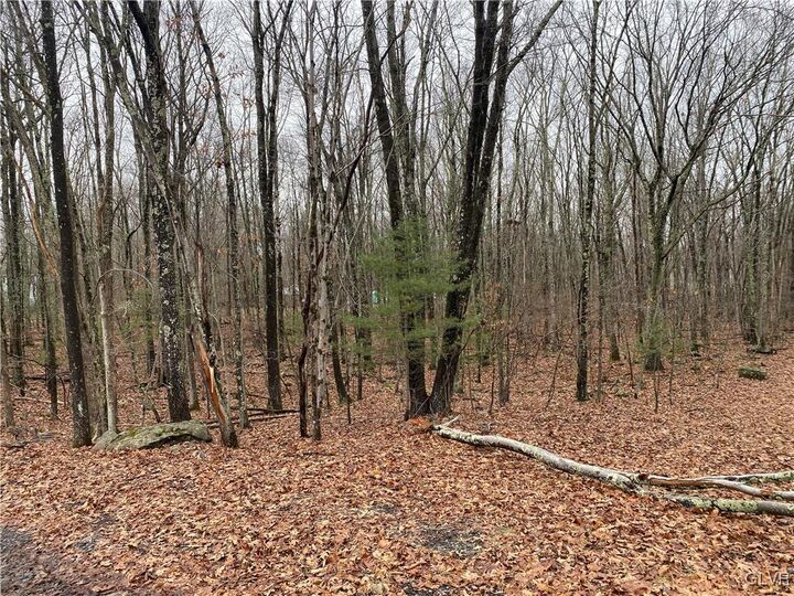 Property Photo: 15 Mimosa Rd PA 18302