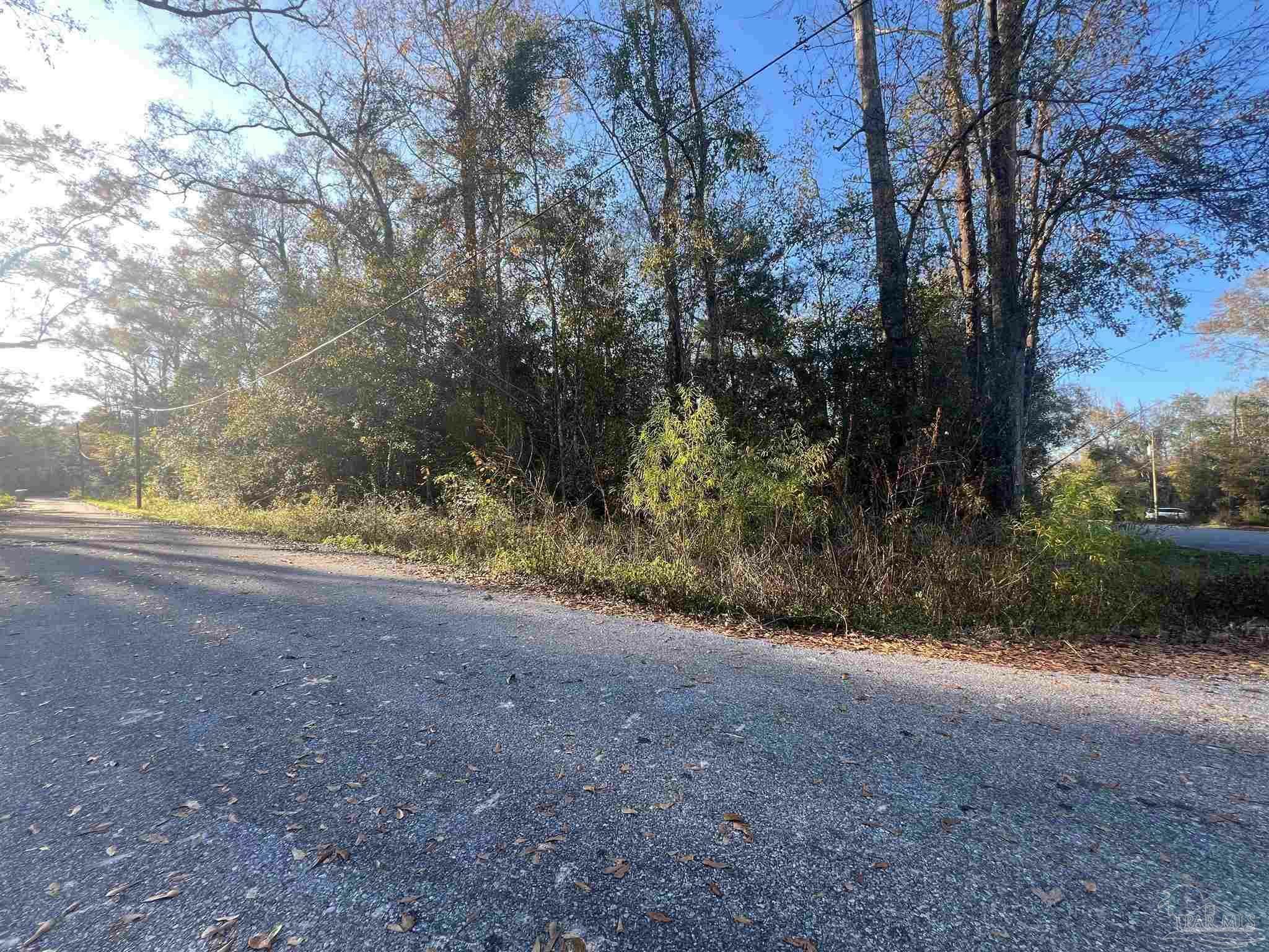 Property Photo:  Brickyard At Blake  FL 32577 