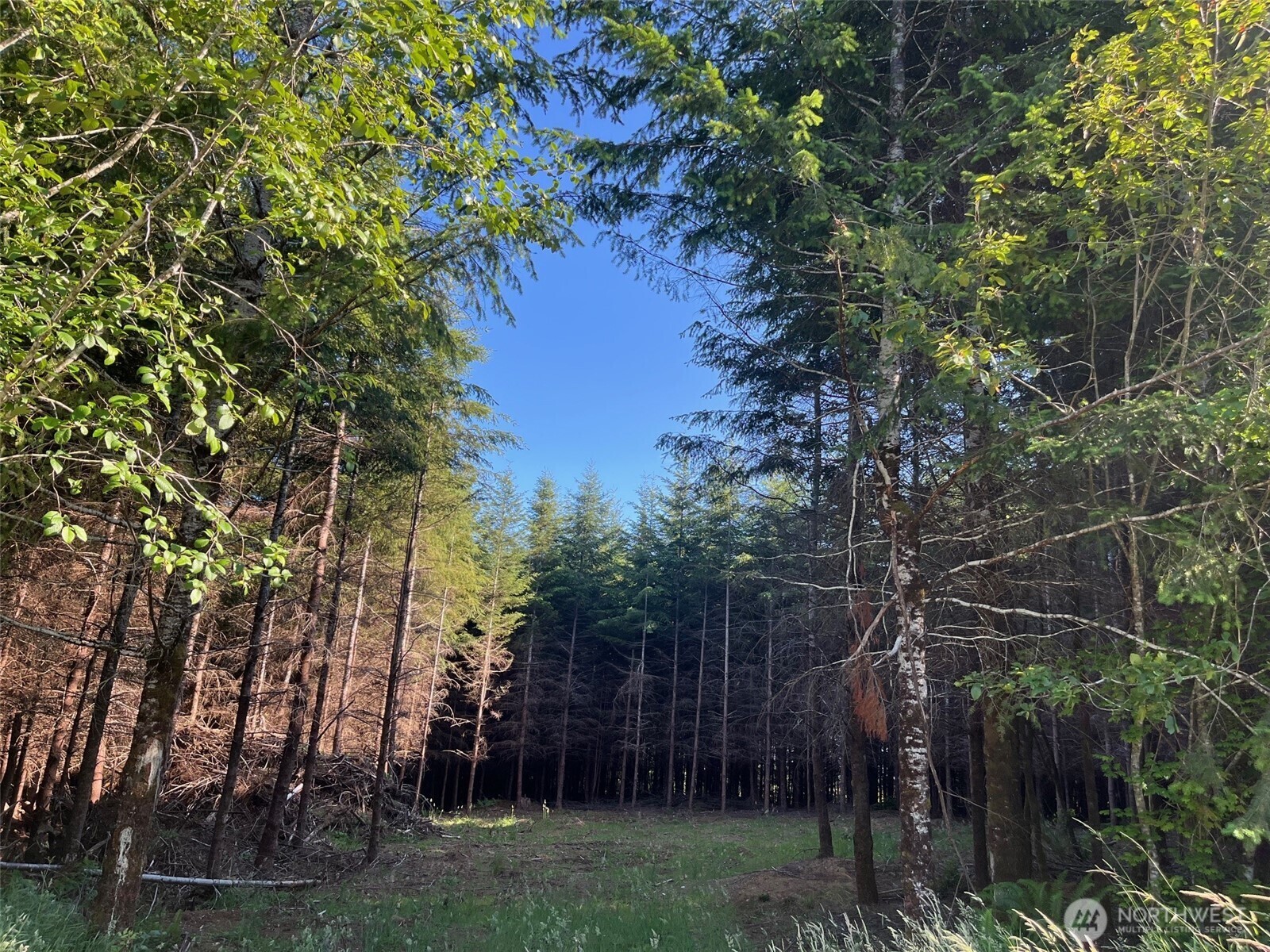 Property Photo:  7  Beaver Hill Lane  WA 98563 