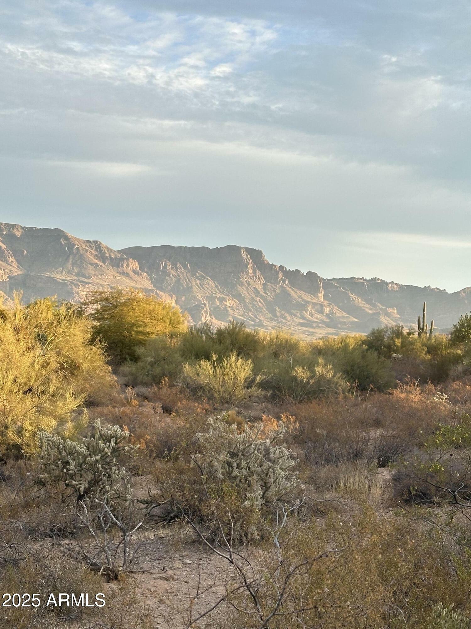 Property Photo:  10105 E Meandering Trail Lane  AZ 85118 