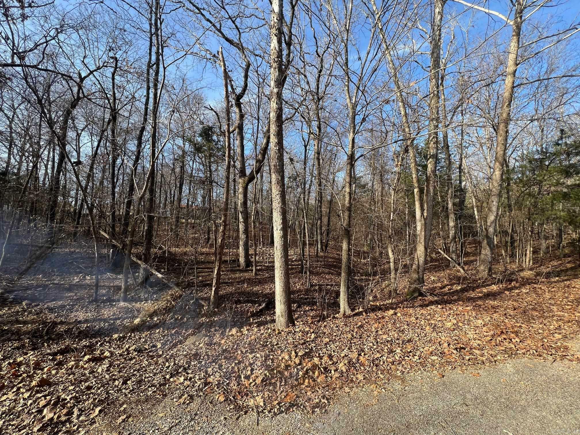 Property Photo:  Lot 9 Kewe Drive  AR 72549 