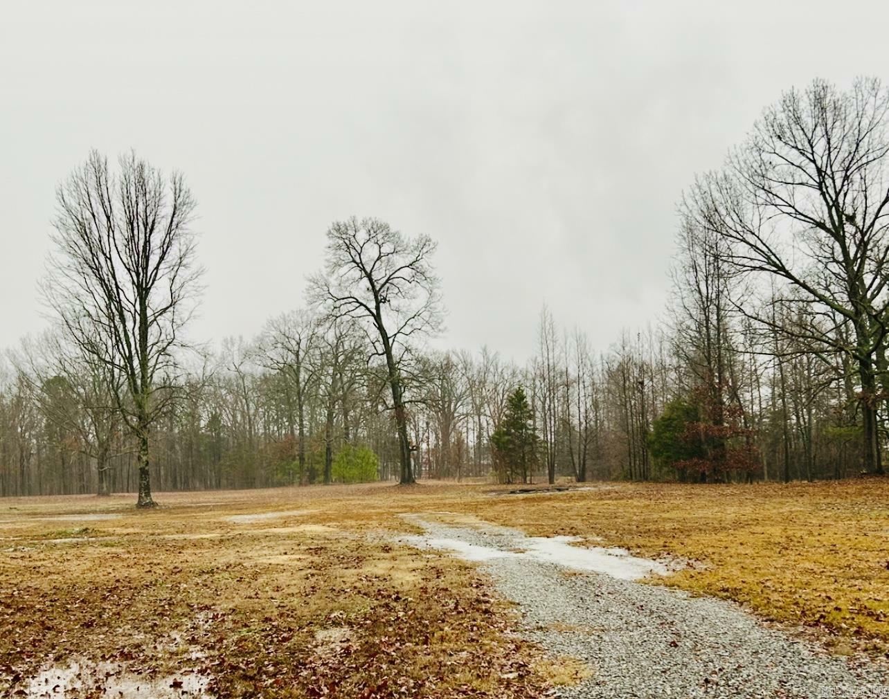 Property Photo:  Lot 3 Snowden Circle  AR 72058 