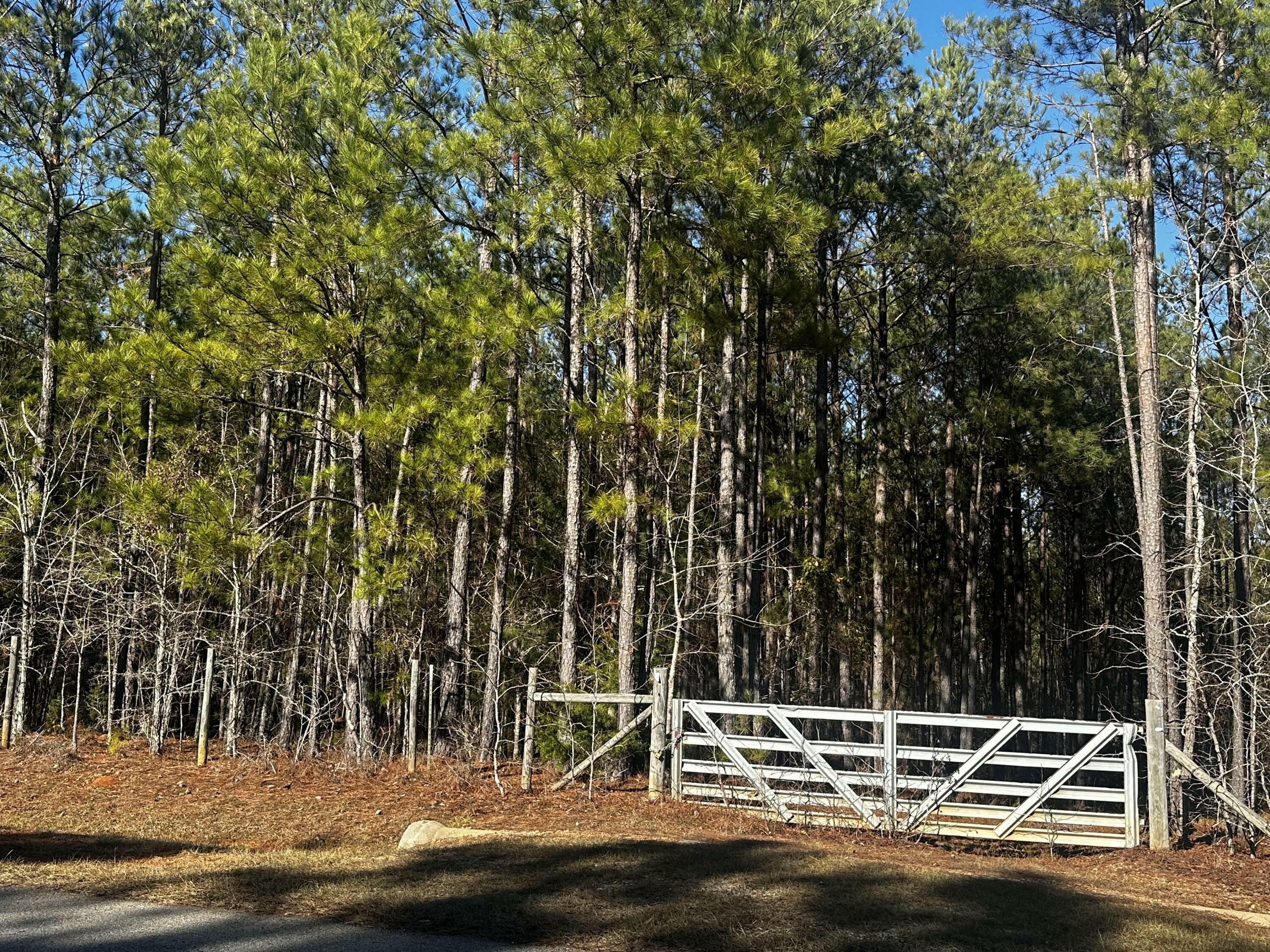 Property Photo:  0 Burks Mountain Road  GA 30802 