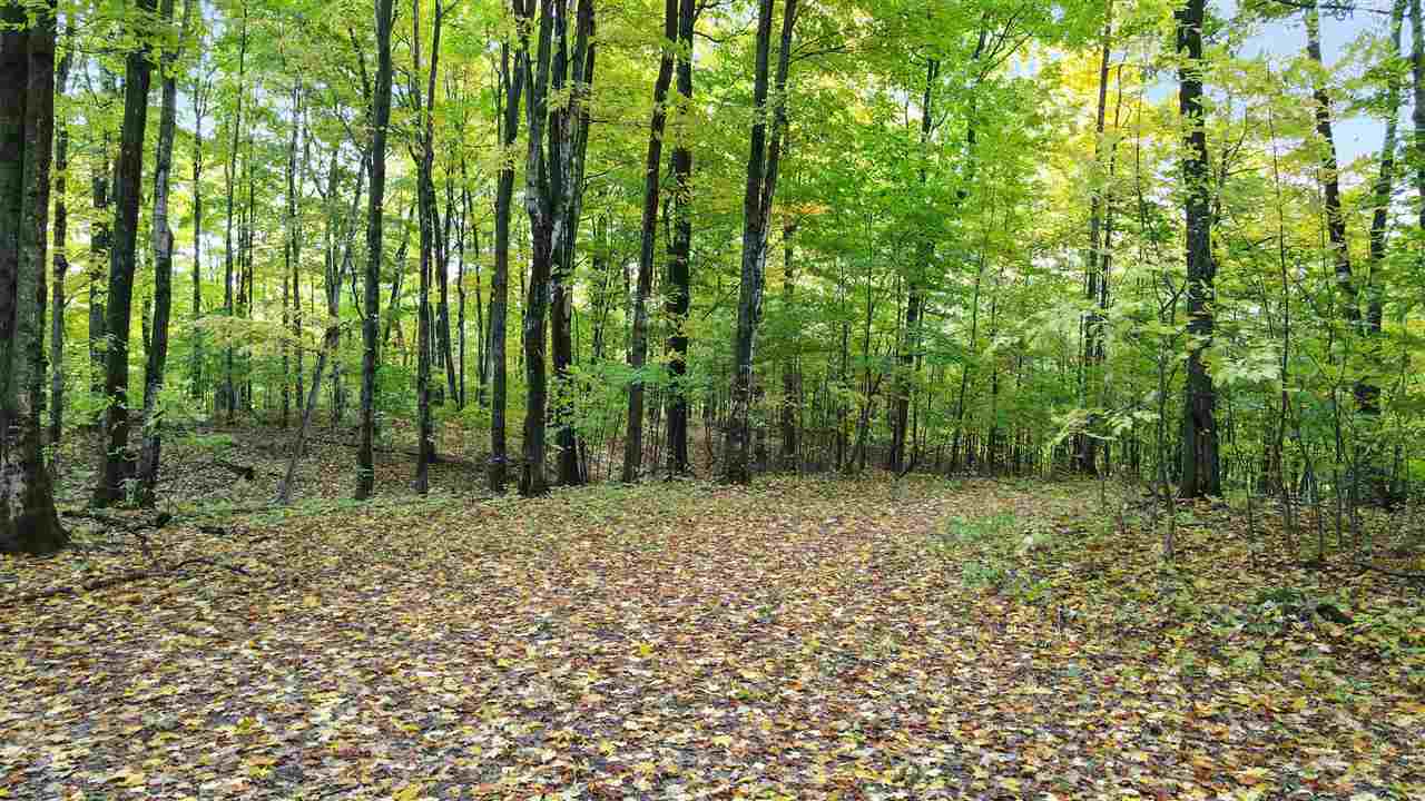 Property Photo: 3395 Needles Lot 26 MI 49740