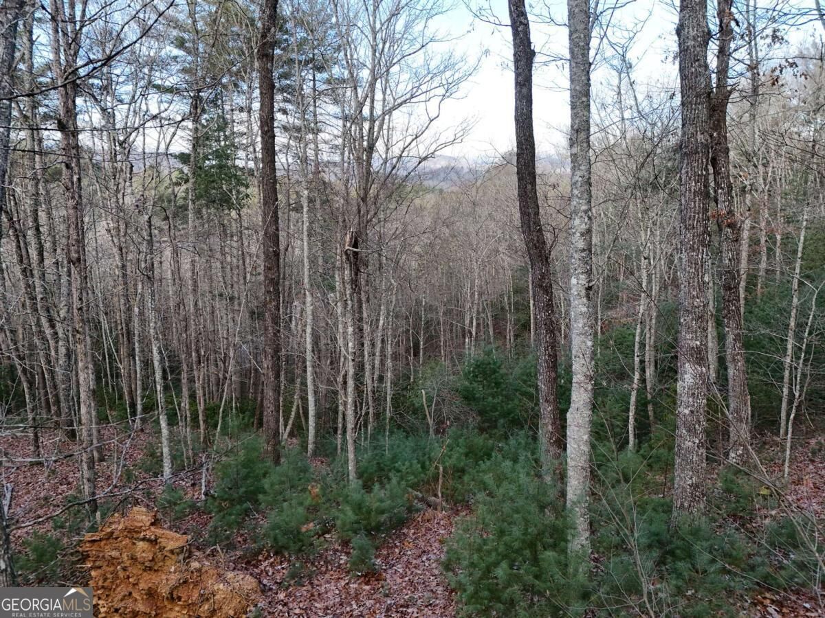 Property Photo: Lot 46 Walker Ridge Way GA 30559