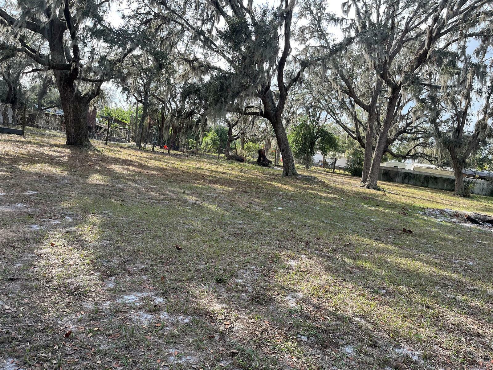 Property Photo: 1319 Vance Road FL 33566