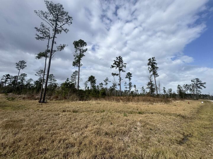 11210 Oak Forest Lane  Beaumont TX 77705 photo