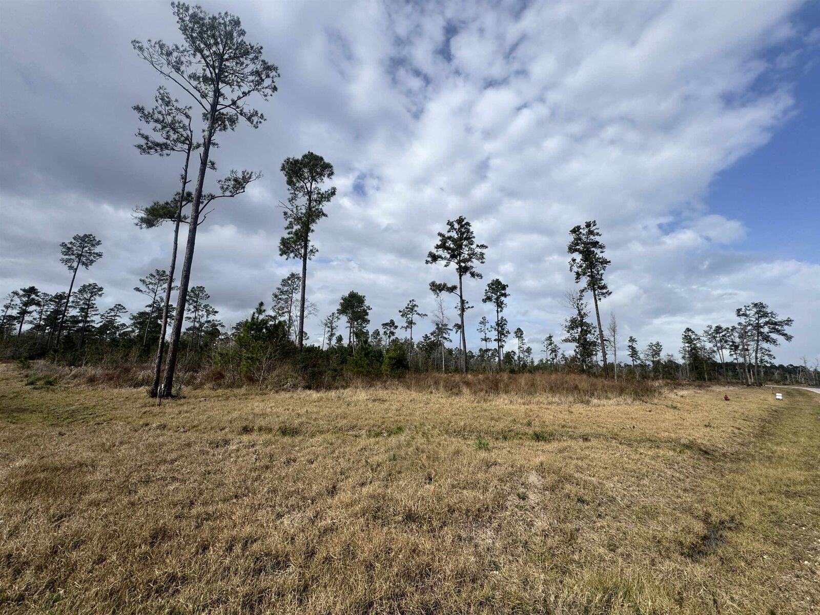 Property Photo: 11210 Oak Forest Lane TX 77705