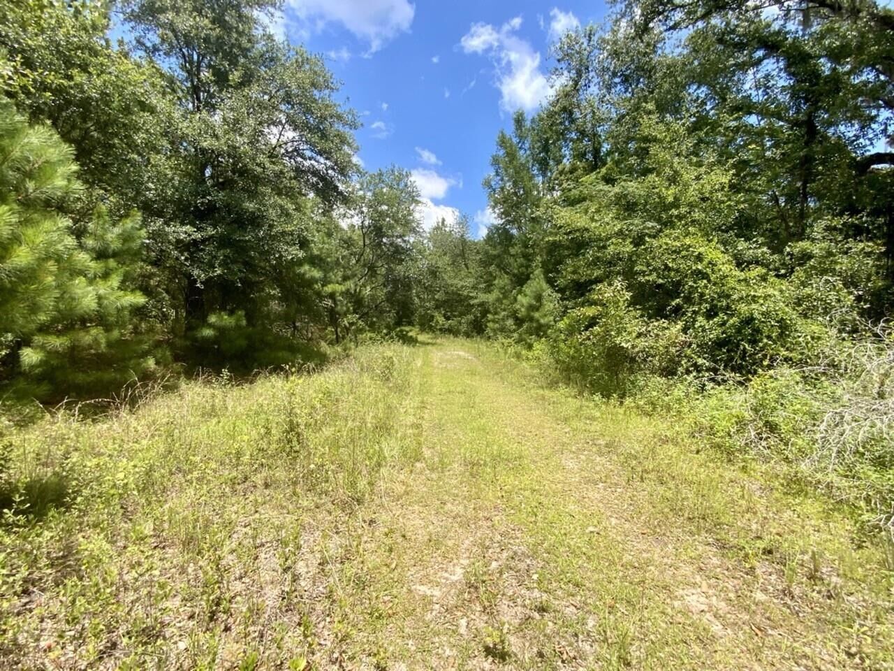 Property Photo:  0000 NE Dandelion Street  FL 32340 
