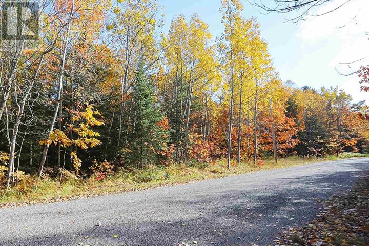Property Photo:  Lot 14&15 Nokomis Beach Rd  ON P6A 5K6 