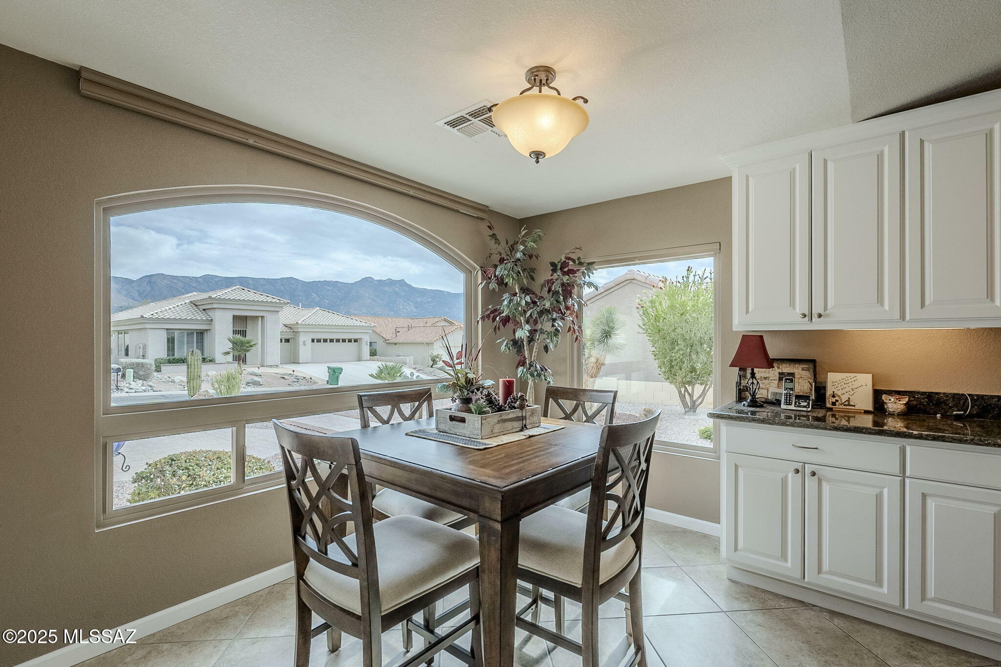 Property Photo:  36414 S Wind Crest Drive  AZ 85739 