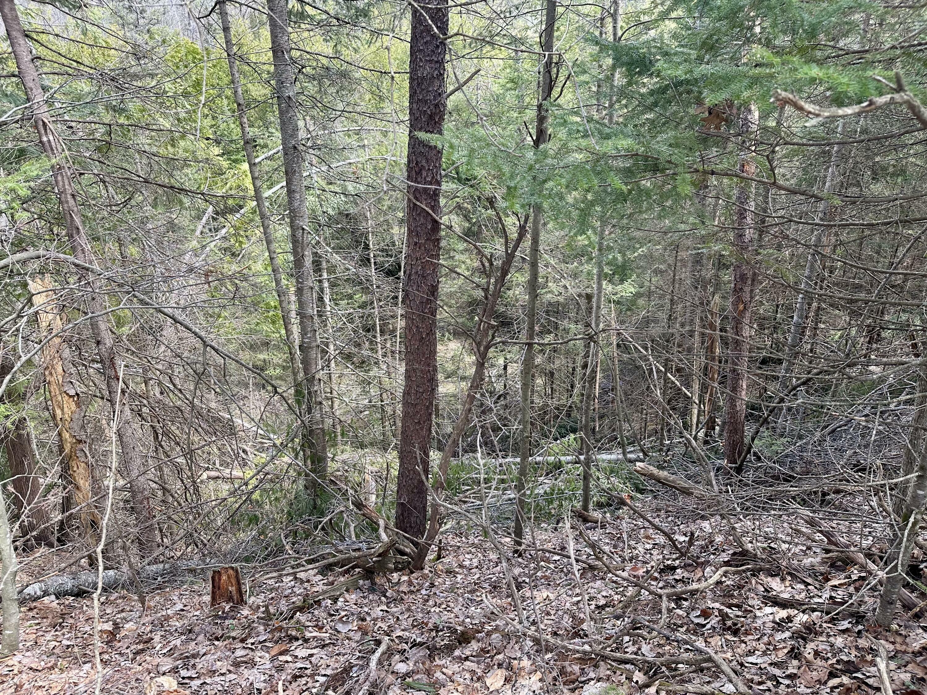 Property Photo: 4409 Big Sky Trail MI 49749