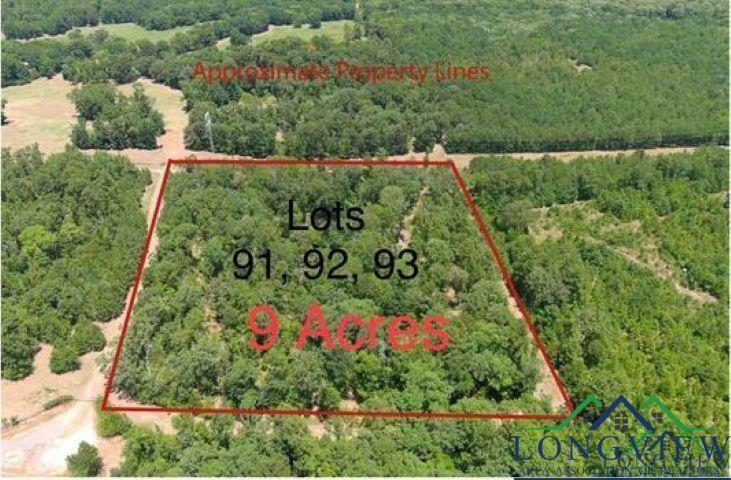 Property Photo:  Lot 91, 92, 93 Frances Lane Lots 91, 92, 93 Tbd Frances Lane  TX 75640 