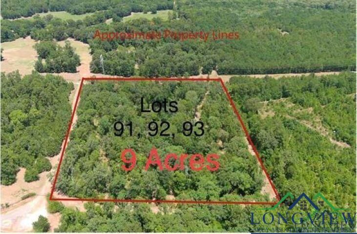 Property Photo: Lot 91, 92, 93 Frances Lane Lots 91, 92, 93 Tbd Frances Lane TX 75640