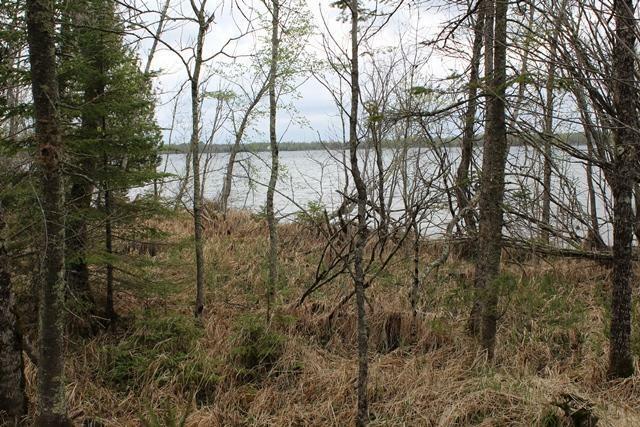 Property Photo: Tbd County Rd 19 MN 56636