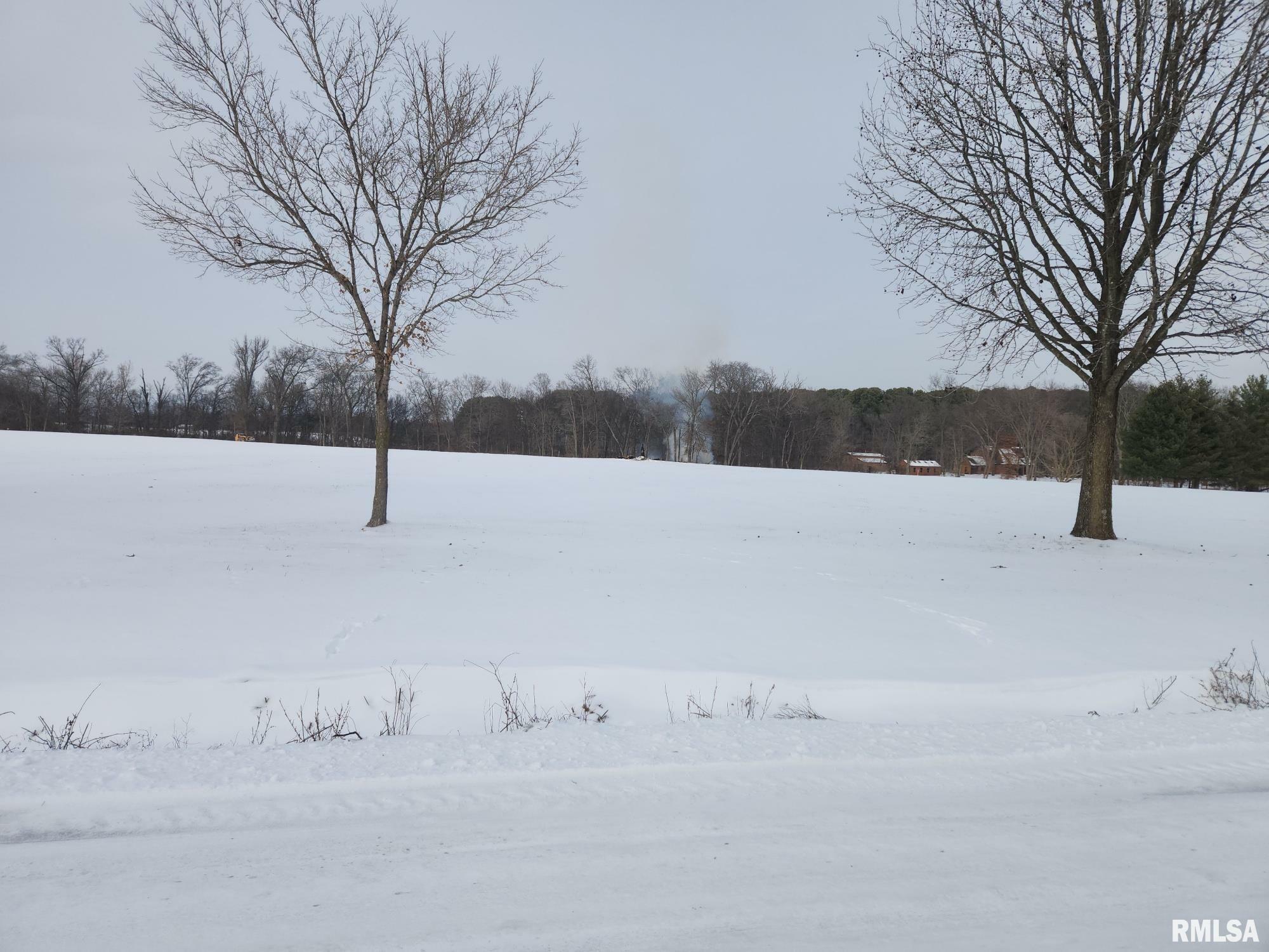 Property Photo:  Lot 5 E Hutchison Road  IL 62864 