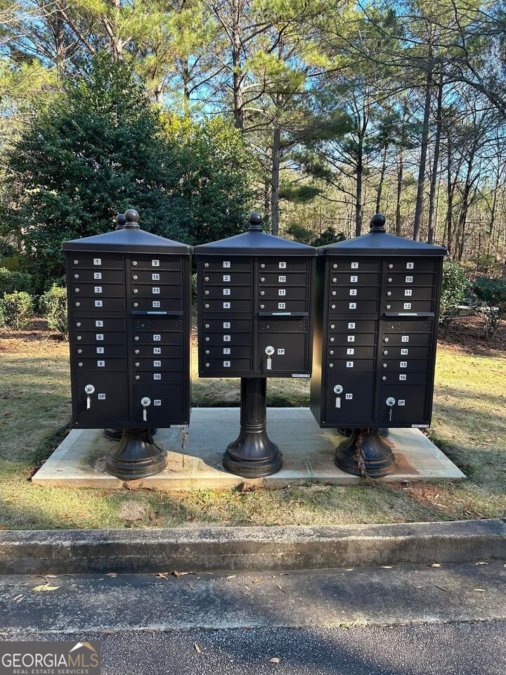 Property Photo:  96 Firefly Run  GA 30240 