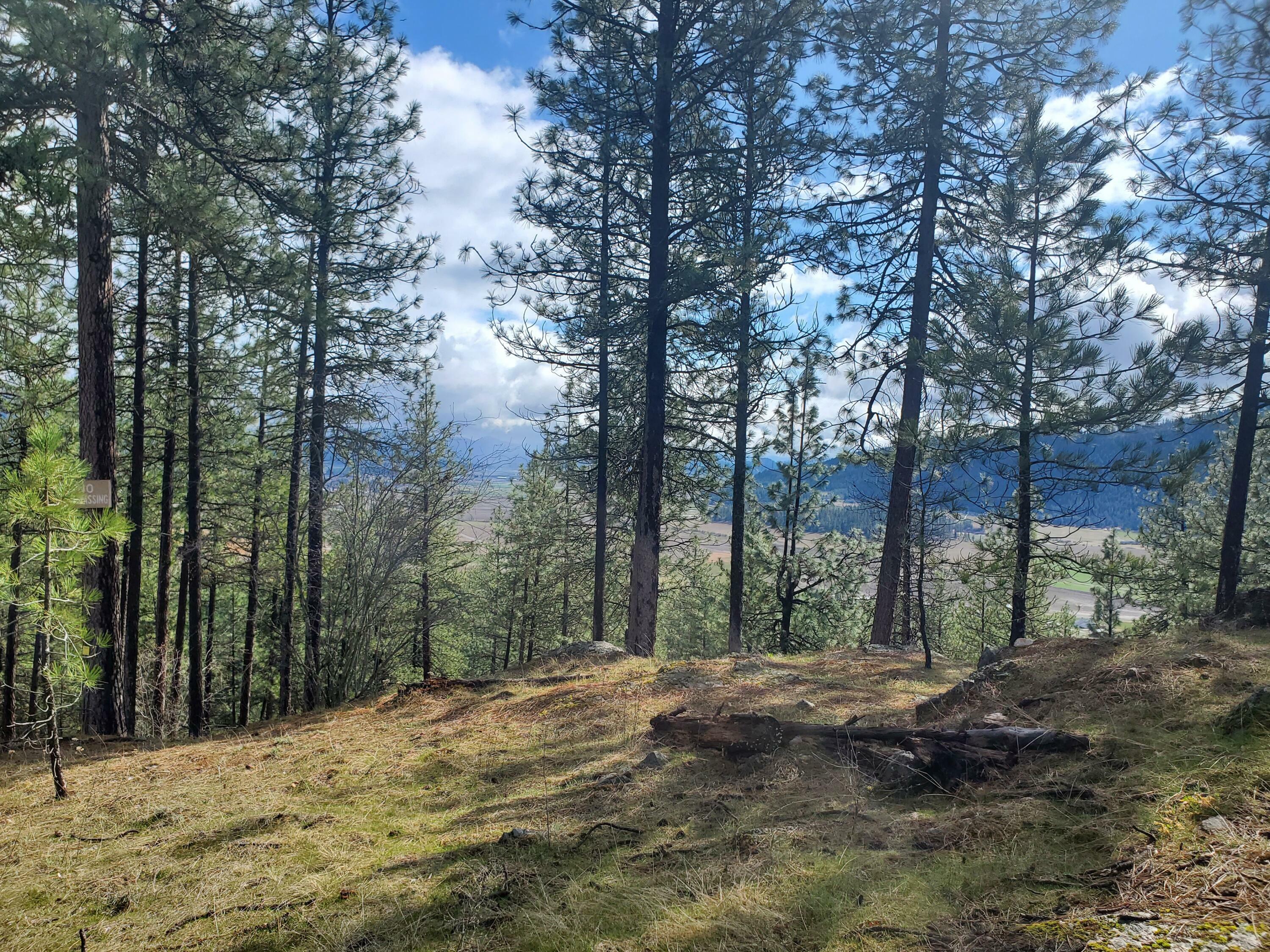 Property Photo: 717 Snead Dr WA 99109