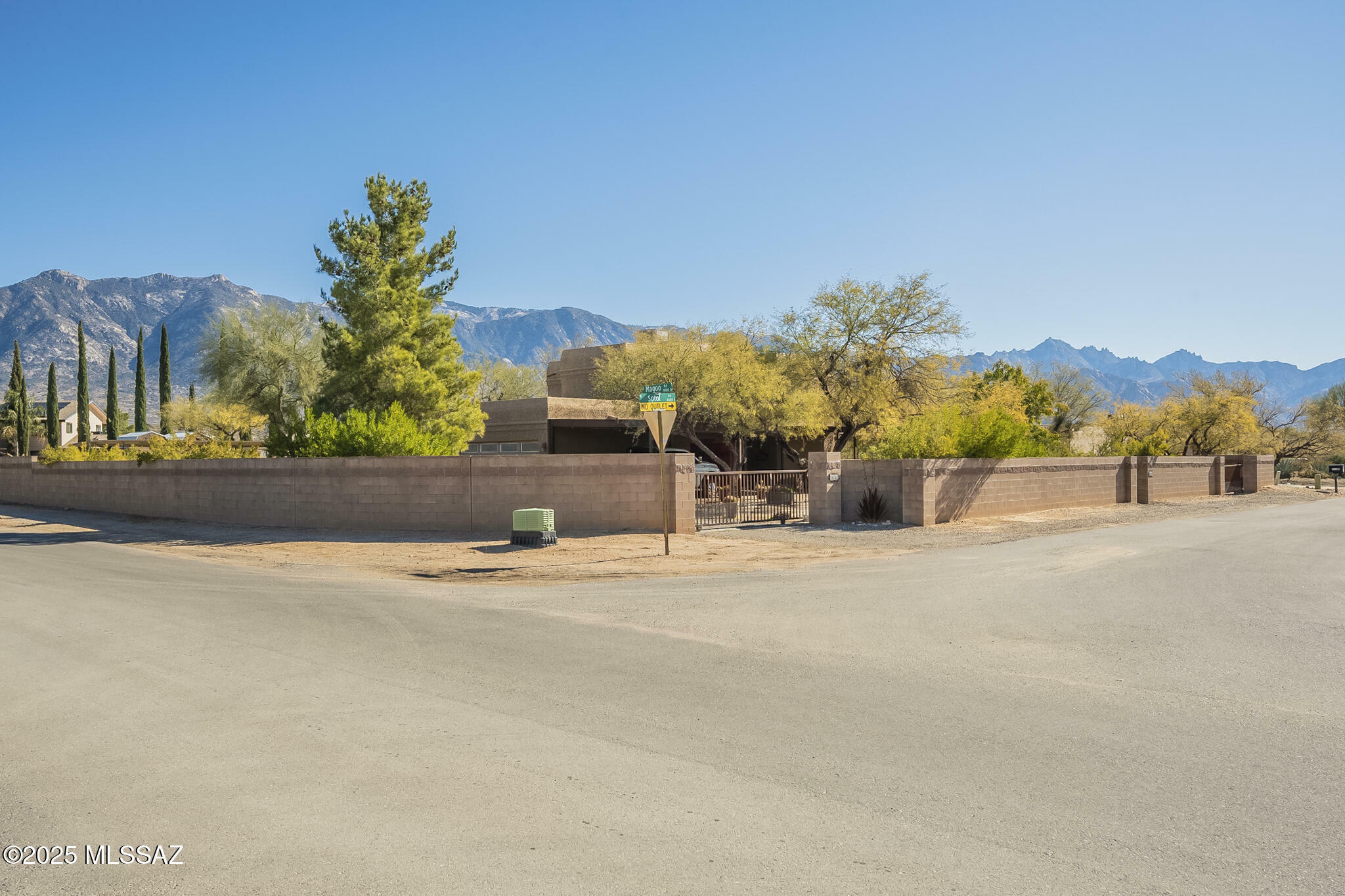 Property Photo:  16180 N Sotol Avenue  AZ 85739 