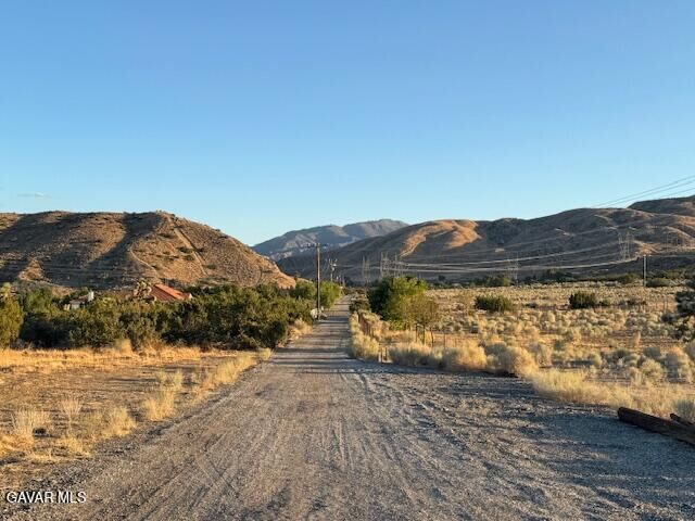 Property Photo:  Barrel Springs And Emden Rd  CA 93543 