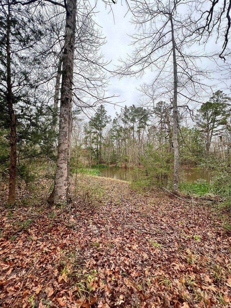 Property Photo:  R16068 Bates Road  TX 75901 