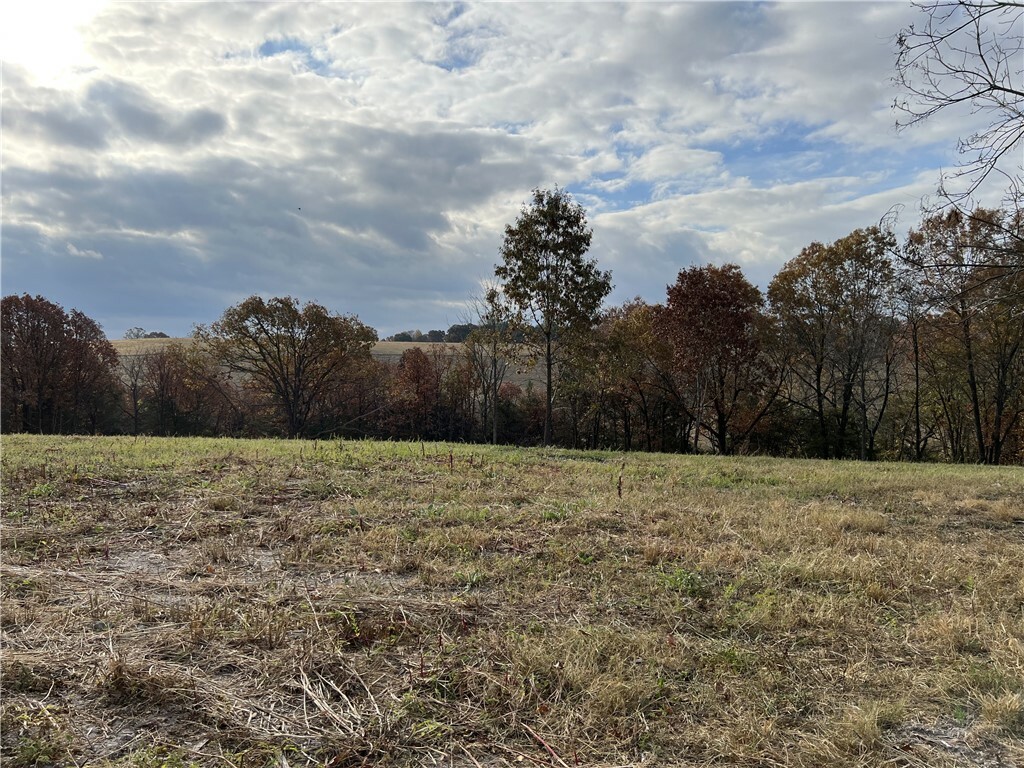 Property Photo:  2758 N Center Loop  AR 72601 