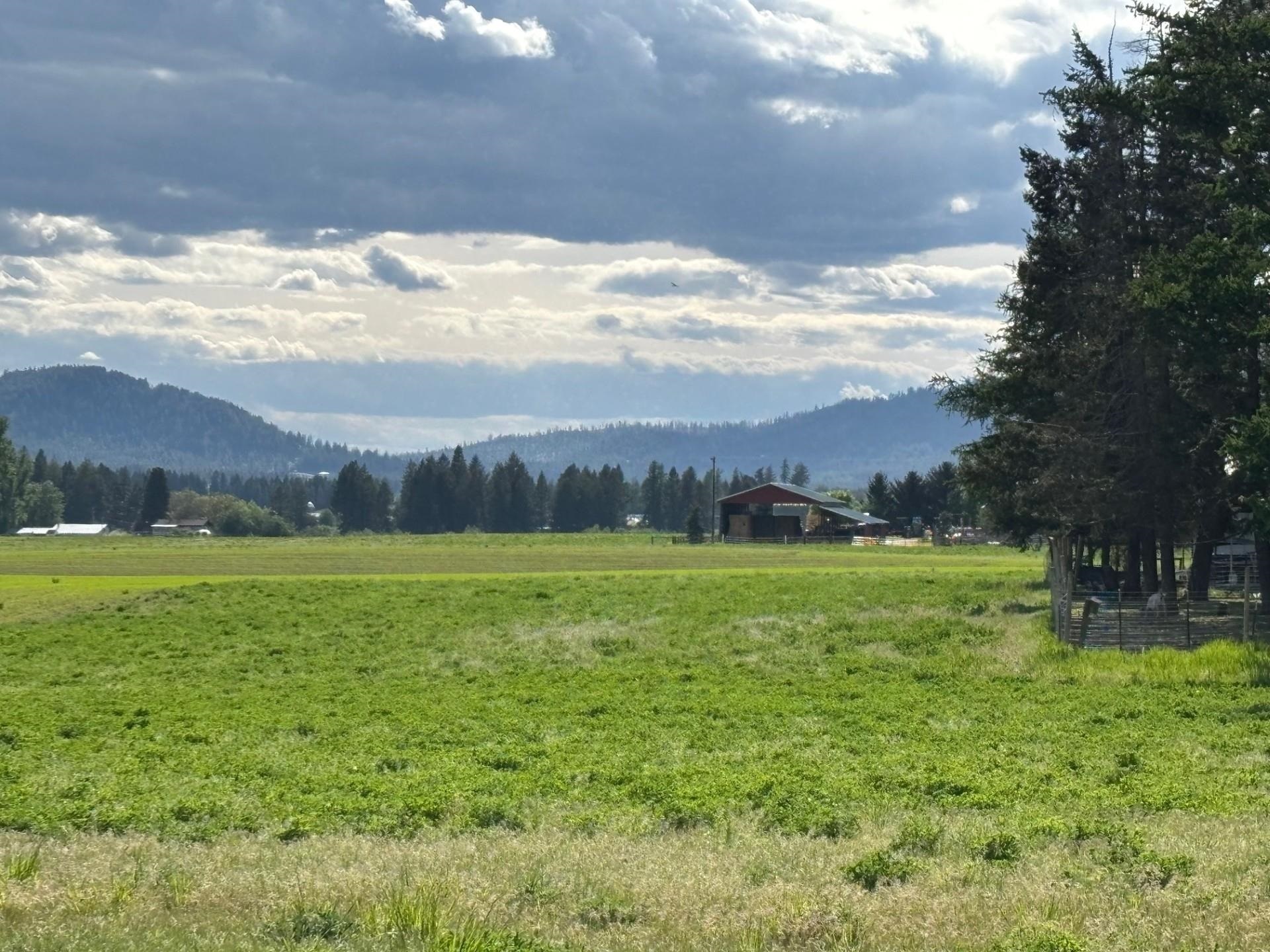 Property Photo: Xxxx Bittrich-Antler Rd WA 99006
