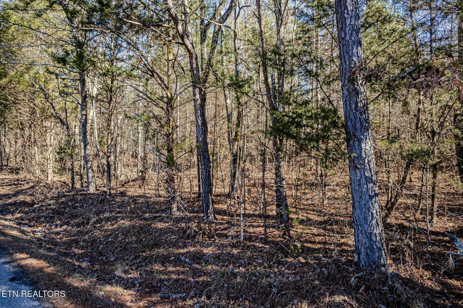 Property Photo:  5 Acres S Nopone Valley Road  TN 37322 