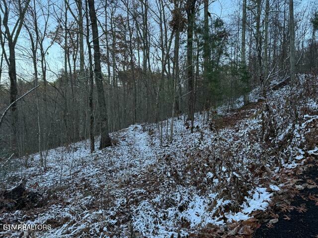 Property Photo: Lot 2 High Ridge Way TN 37862