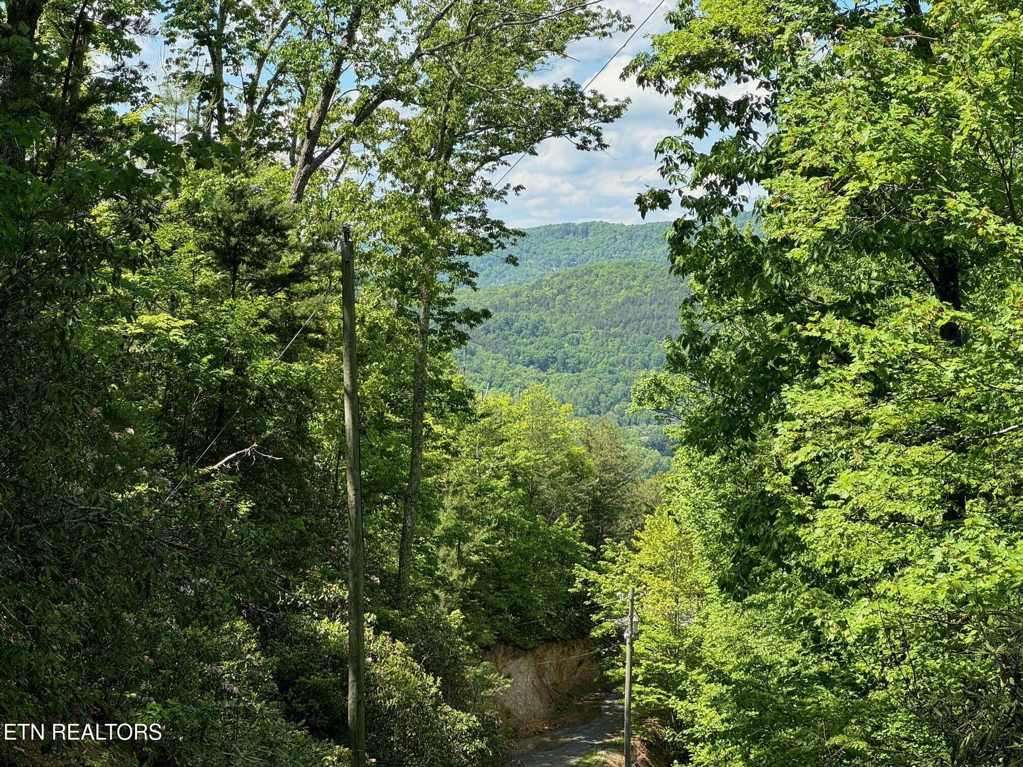 Property Photo: Lot 2 High Ridge Way TN 37862