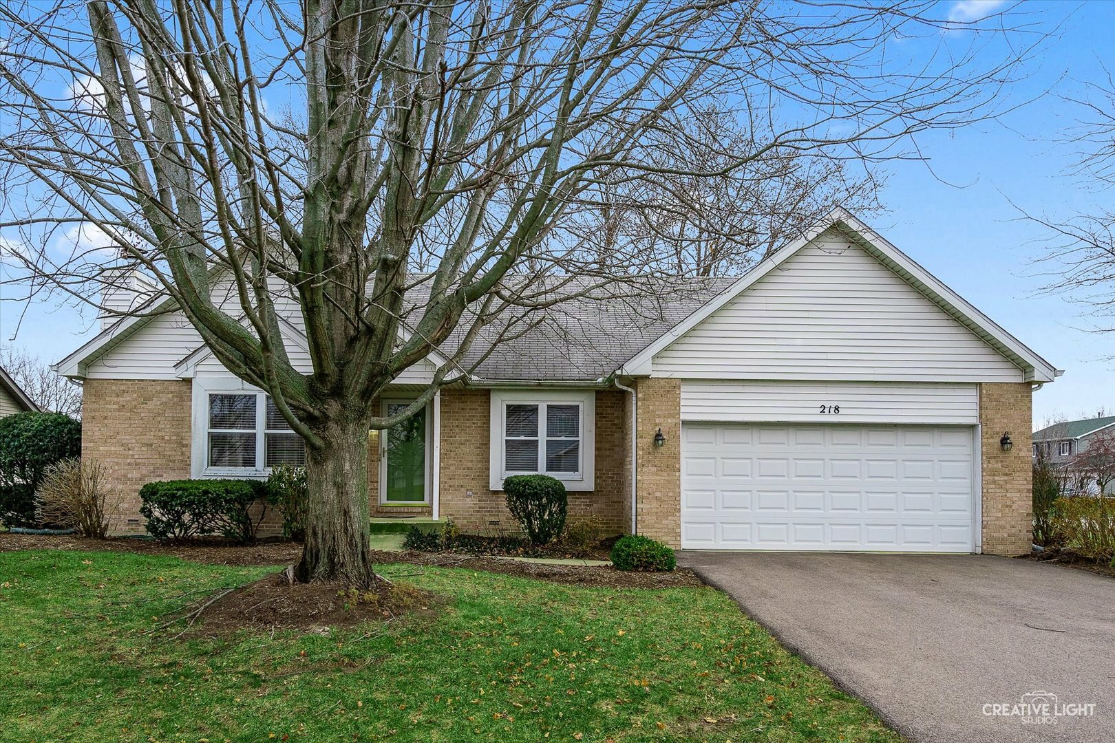 Property Photo:  218 Whitetail Crossing  IL 60543 