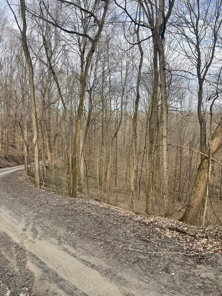 Property Photo:  0 Johns Creek Rd  TN 37083 