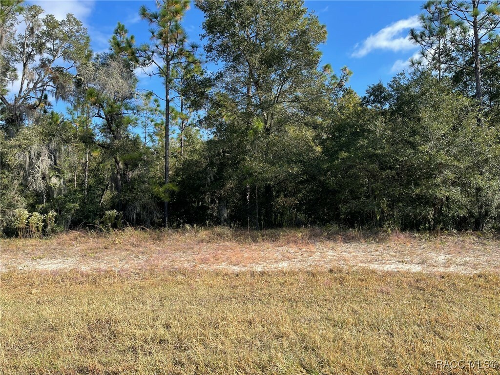 Property Photo:  Lot 44 SW 102nd Street Road  FL 34431 