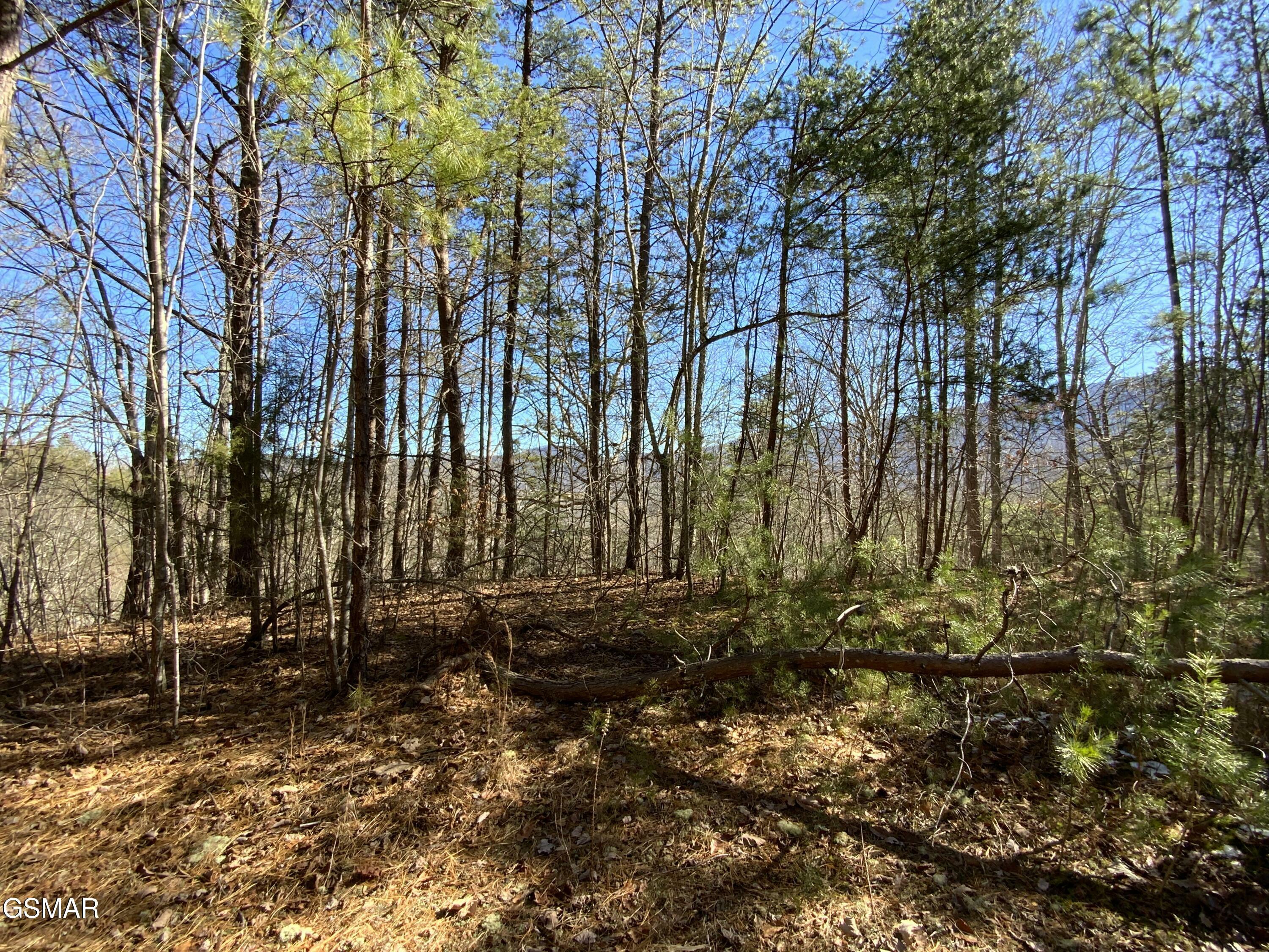 Property Photo:  Lot 7-R Hatcher Mountain Road  TN 37862 