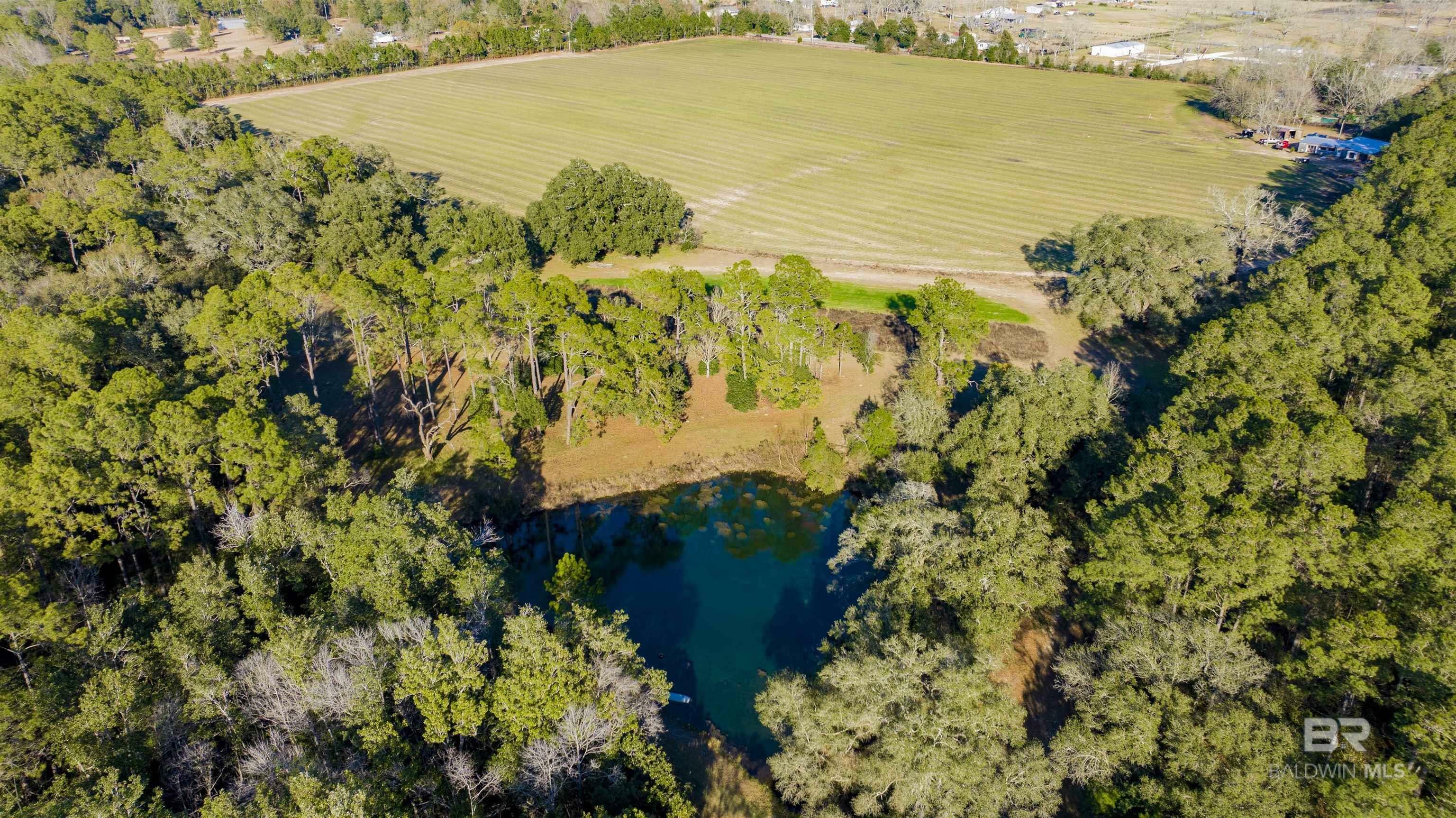 Property Photo: 0 S County Road 62 AL 36567