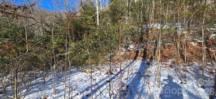 Property Photo: Lot 11 Bernies Trail NC 28785