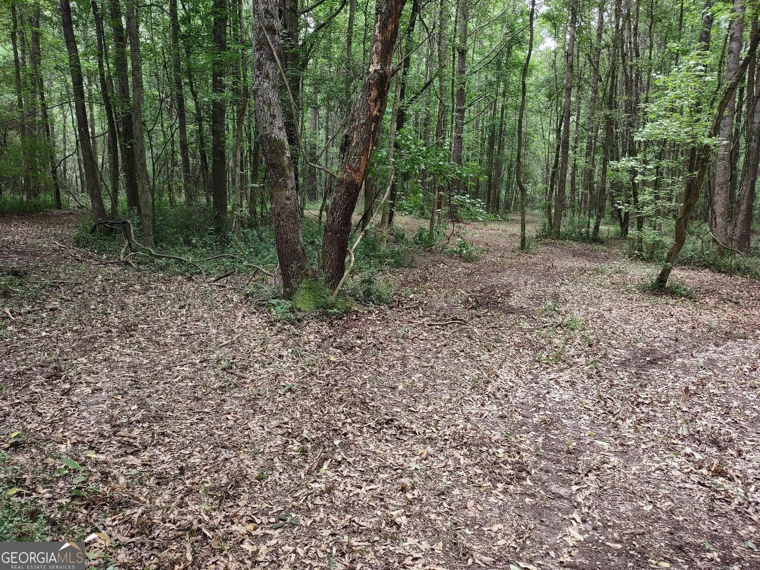 Property Photo: 7001 Coatsworth Drive Lot 1 GA 30281