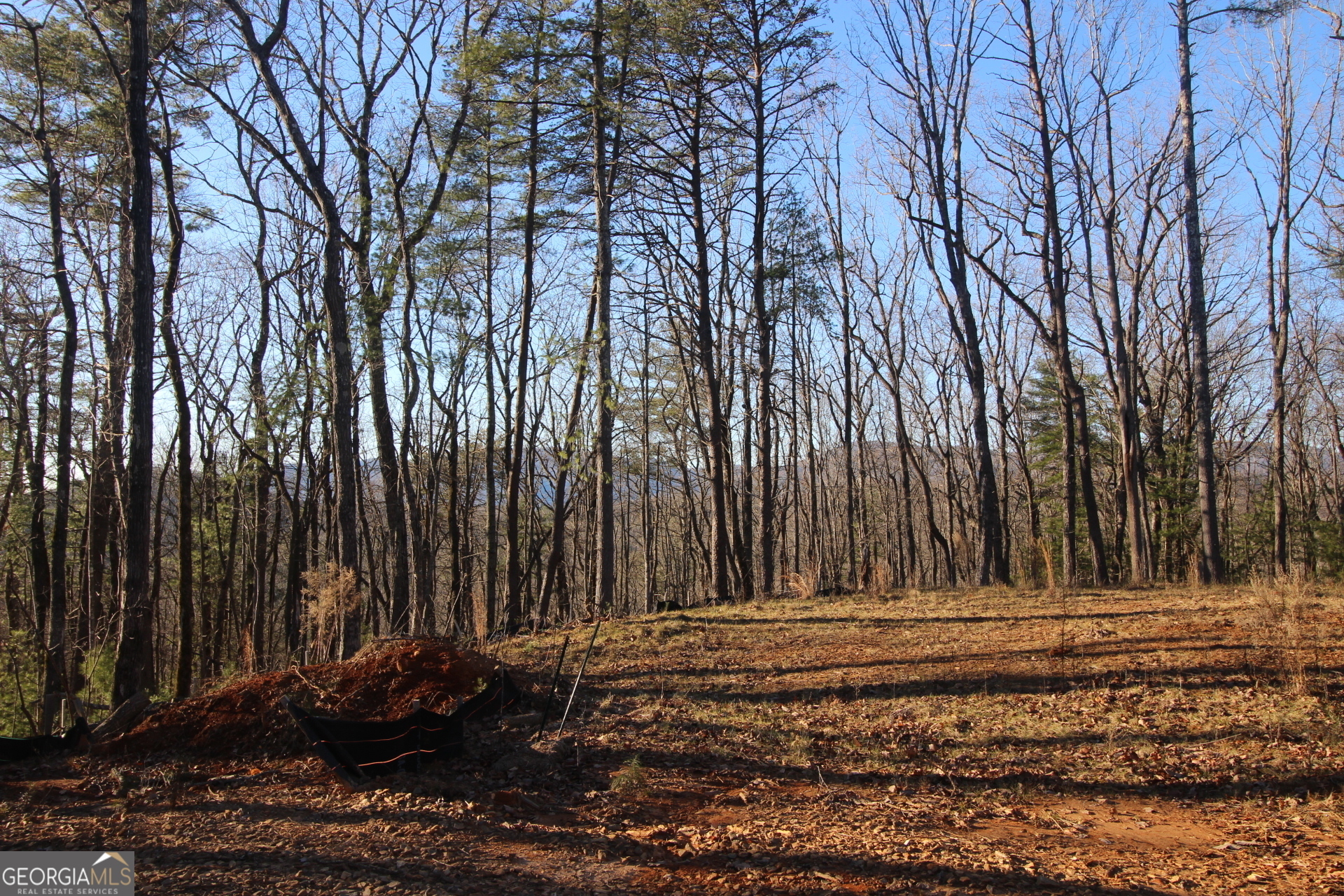 Property Photo:  Lot 10 Johnston Road  GA 30513 