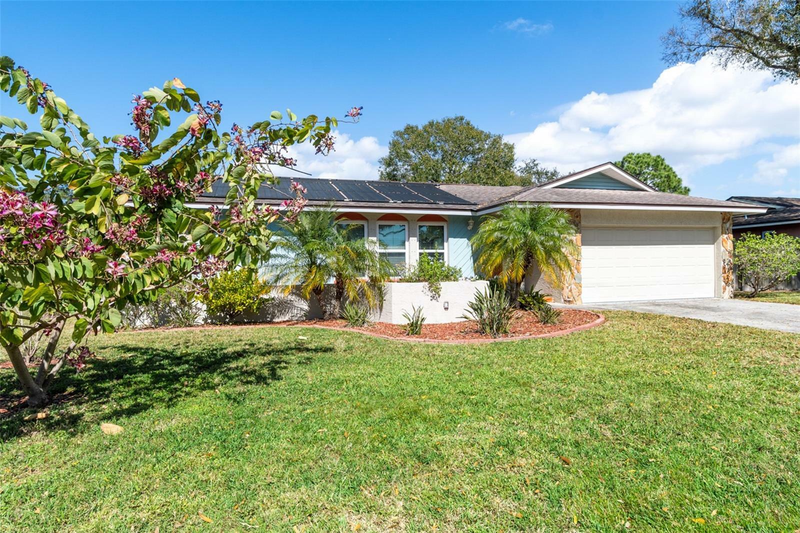 Property Photo:  8460 Parkwood Boulevard  FL 33777 