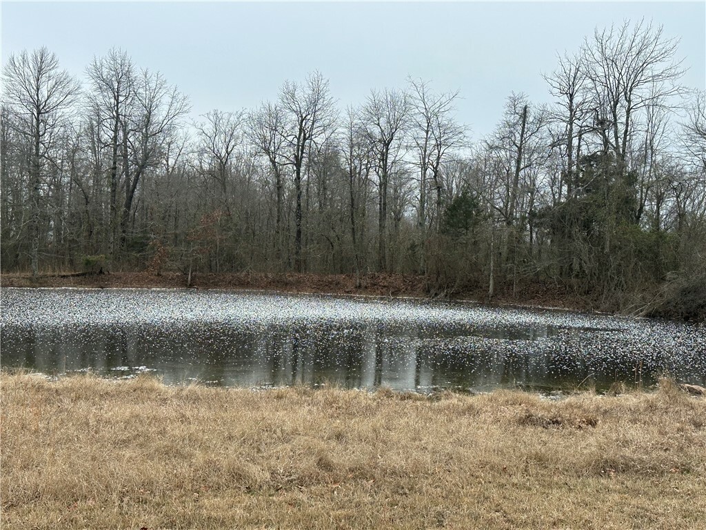 Property Photo:  Liberty Road  AR 72645 