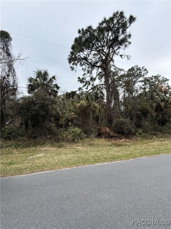 Property Photo:  9942 W Hawthorne Street  FL 34428 