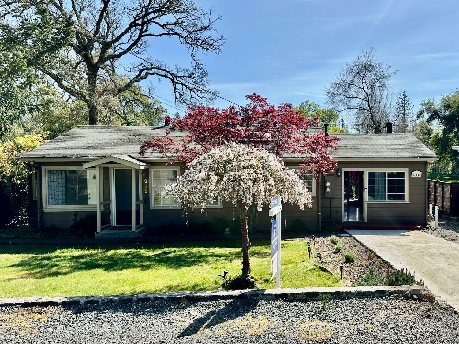 355 Sky Oaks Drive  Angwin CA 94508 photo