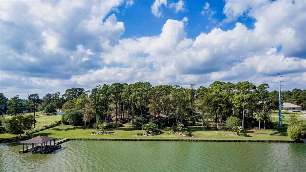 Property Photo: 19410 Nehoc Lane TX 77346
