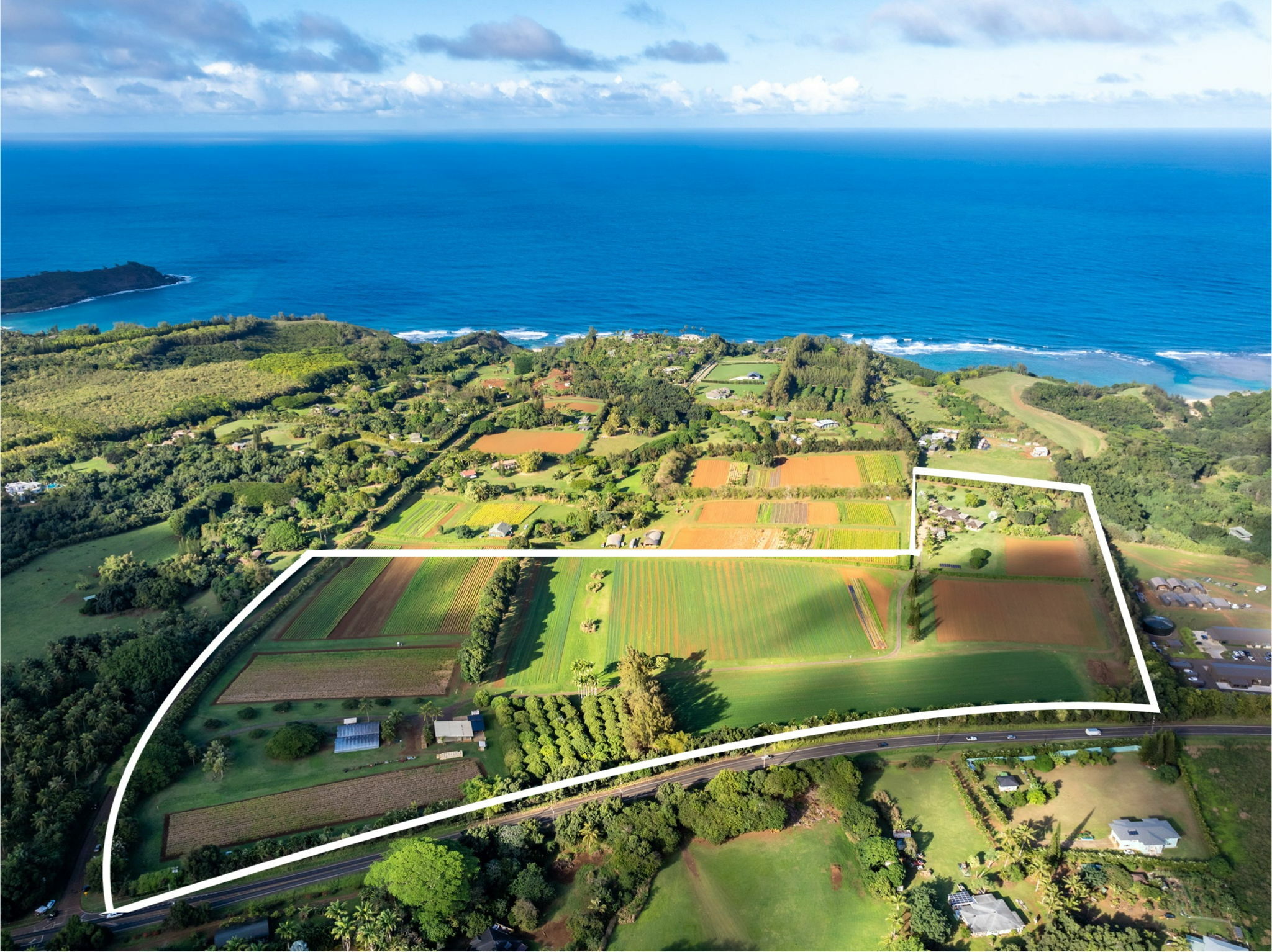 Property Photo:  4469 Waiakalua St F  HI 96754 