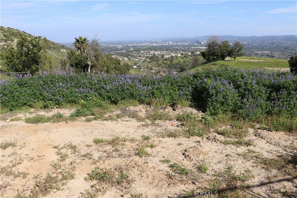 Property Photo:  150 Dapplegray Road  CA 91307 